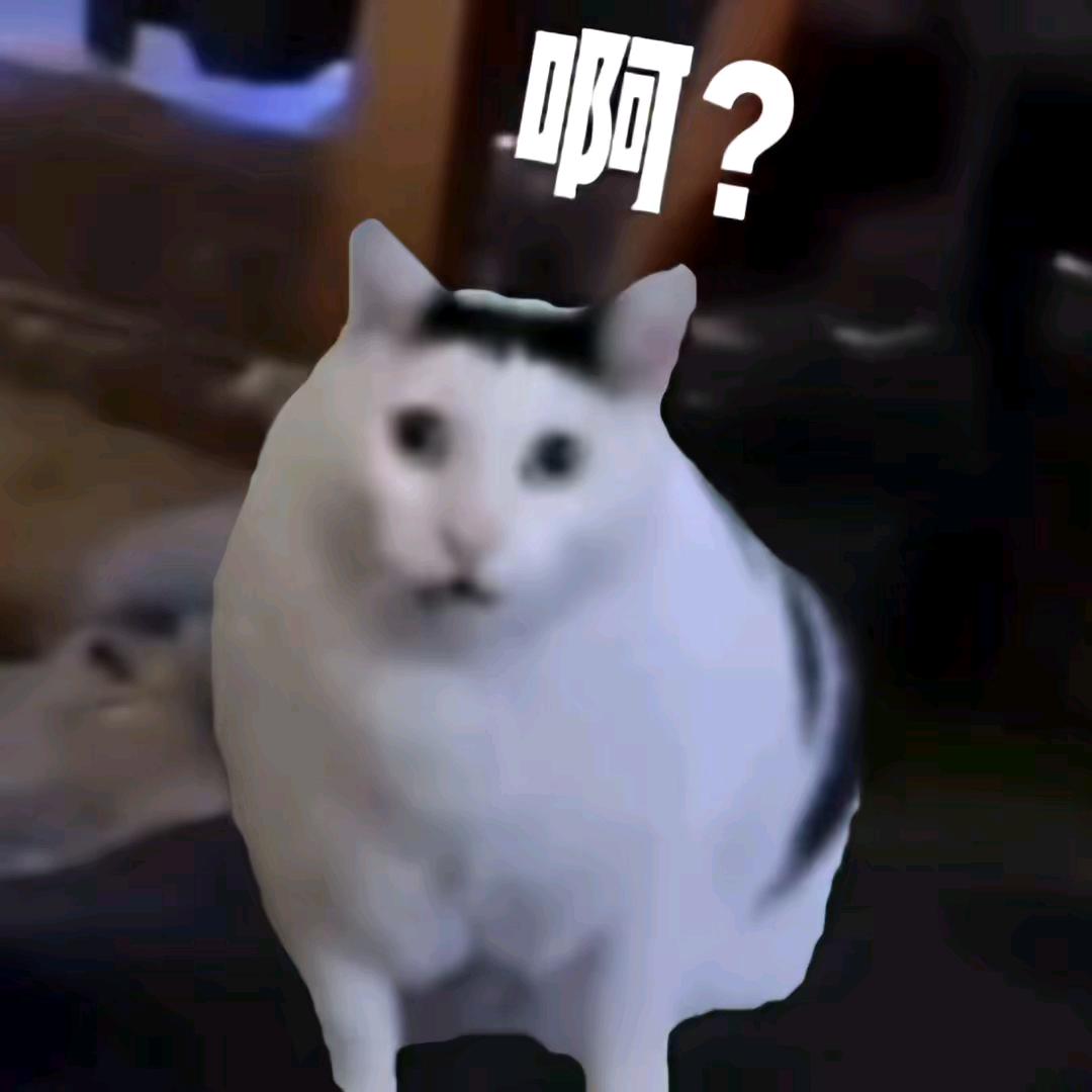 寻水的鱼
