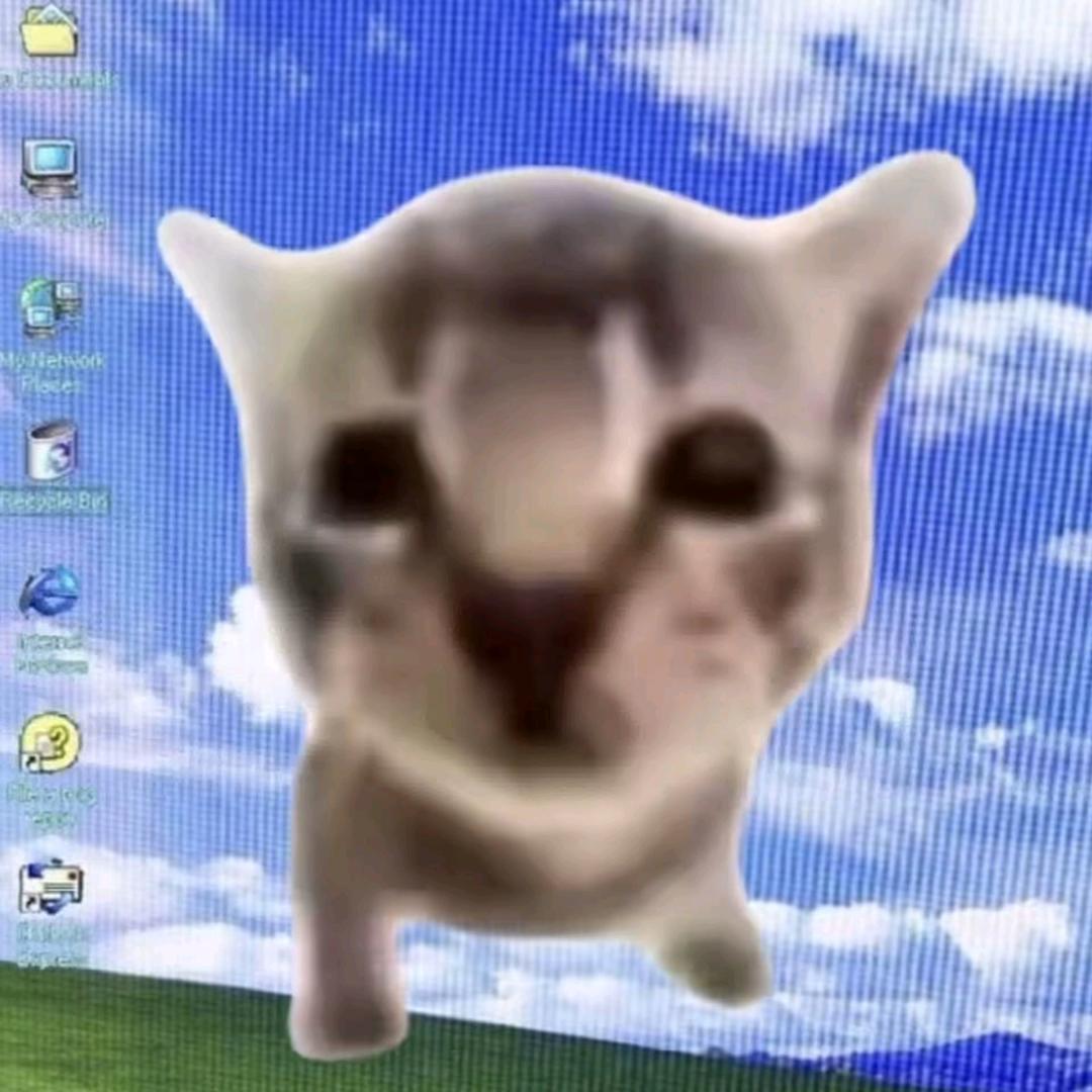 🆔情煜少