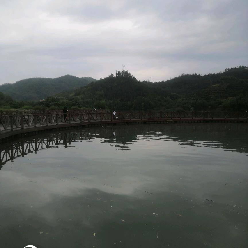 青辞