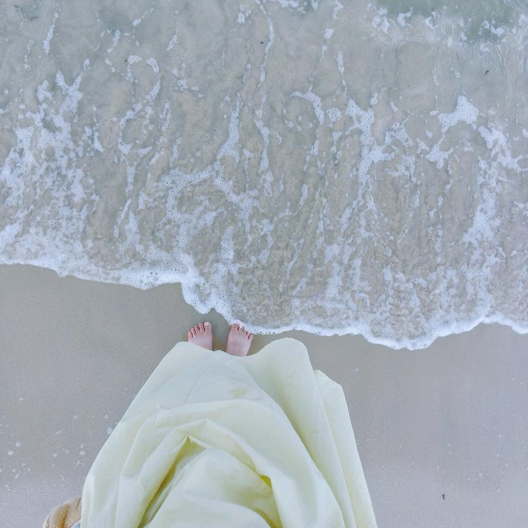 2025.8.16开始打卡帕梅拉