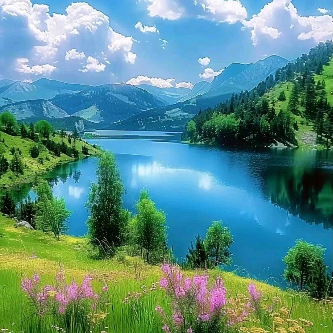 🌹🌹玫瑰花香💯