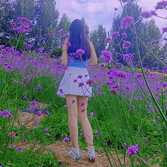 肖肖妹儿