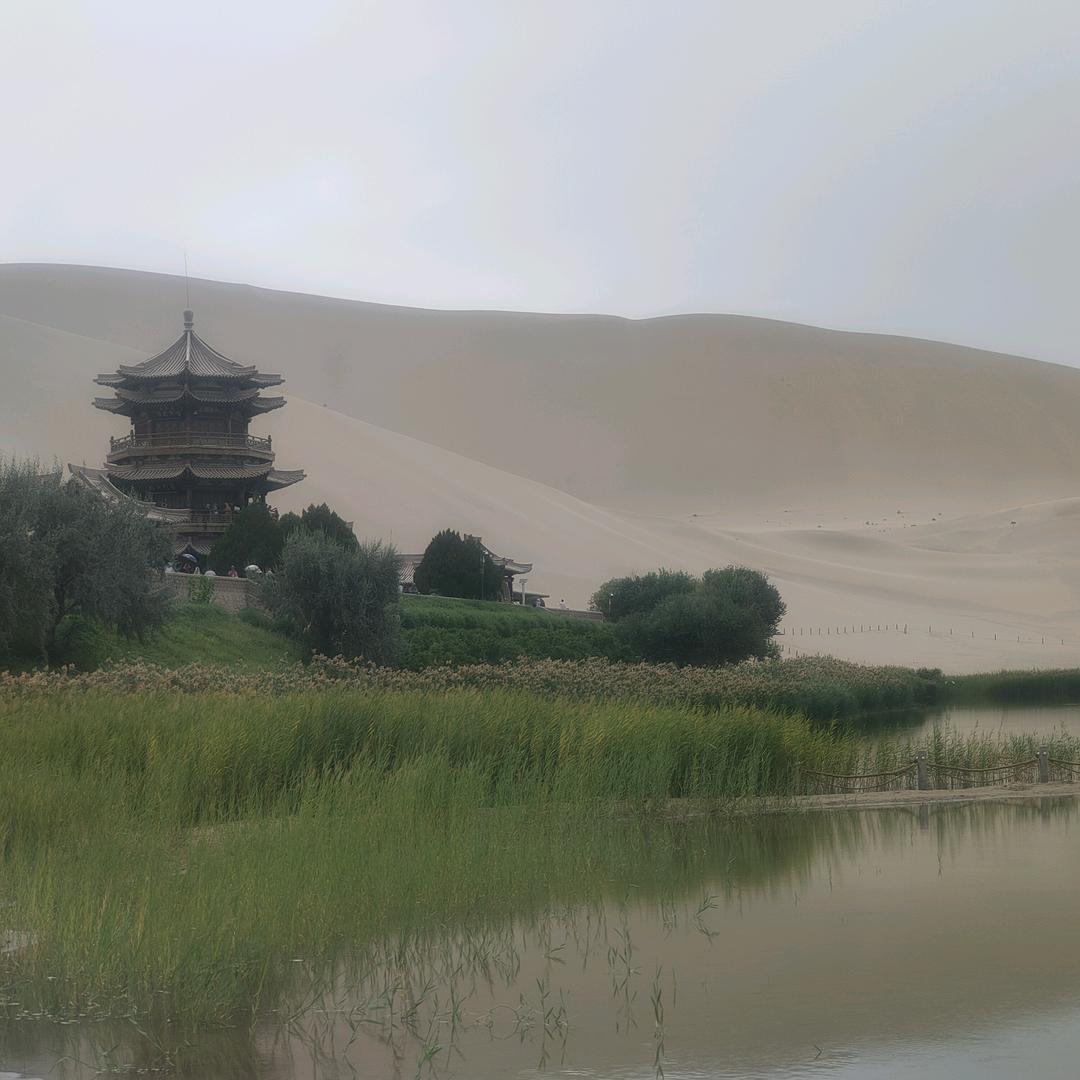 茶海飘香