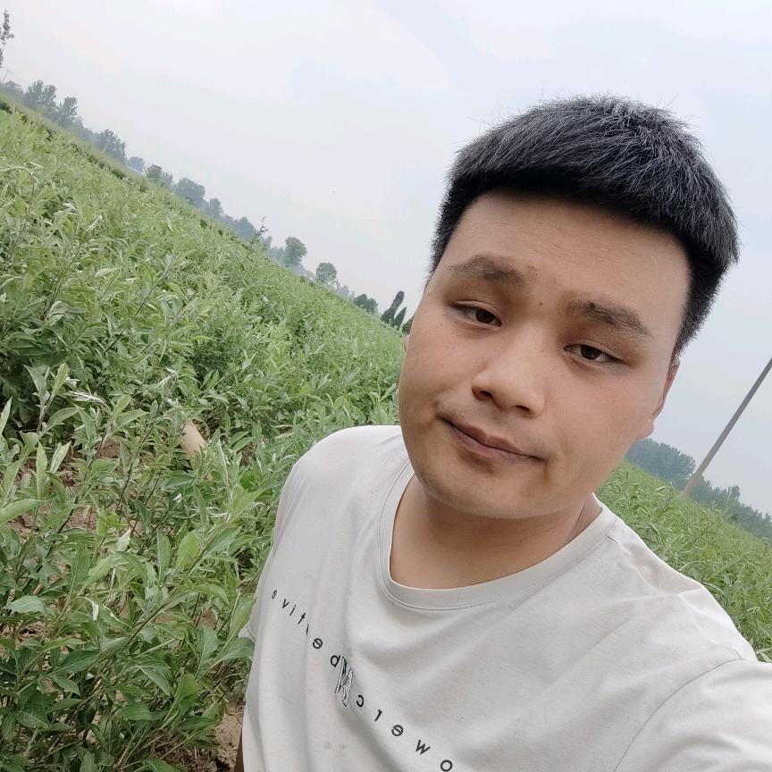 小黑的本草宝典