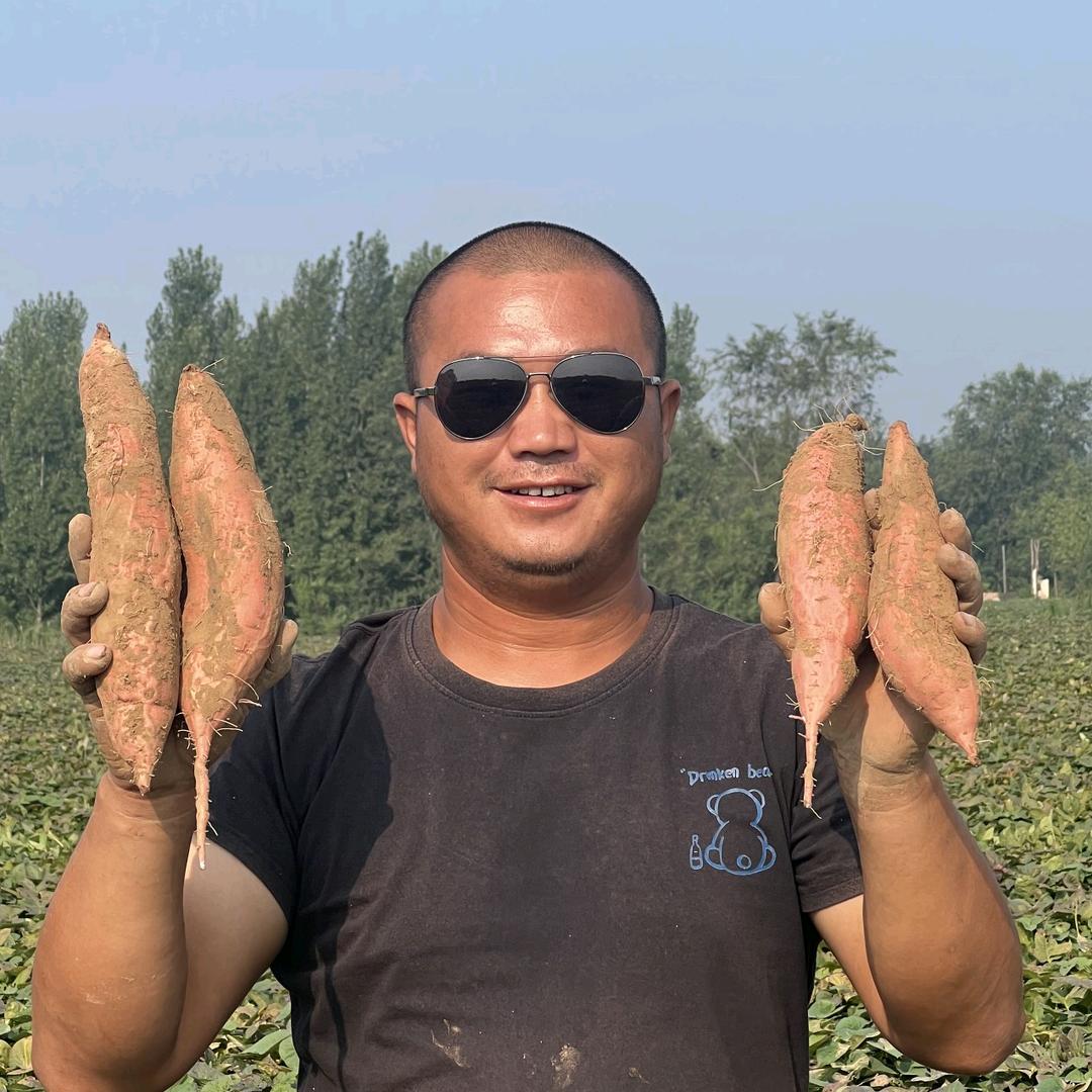 赵文涛   助力非州卢旺达农业