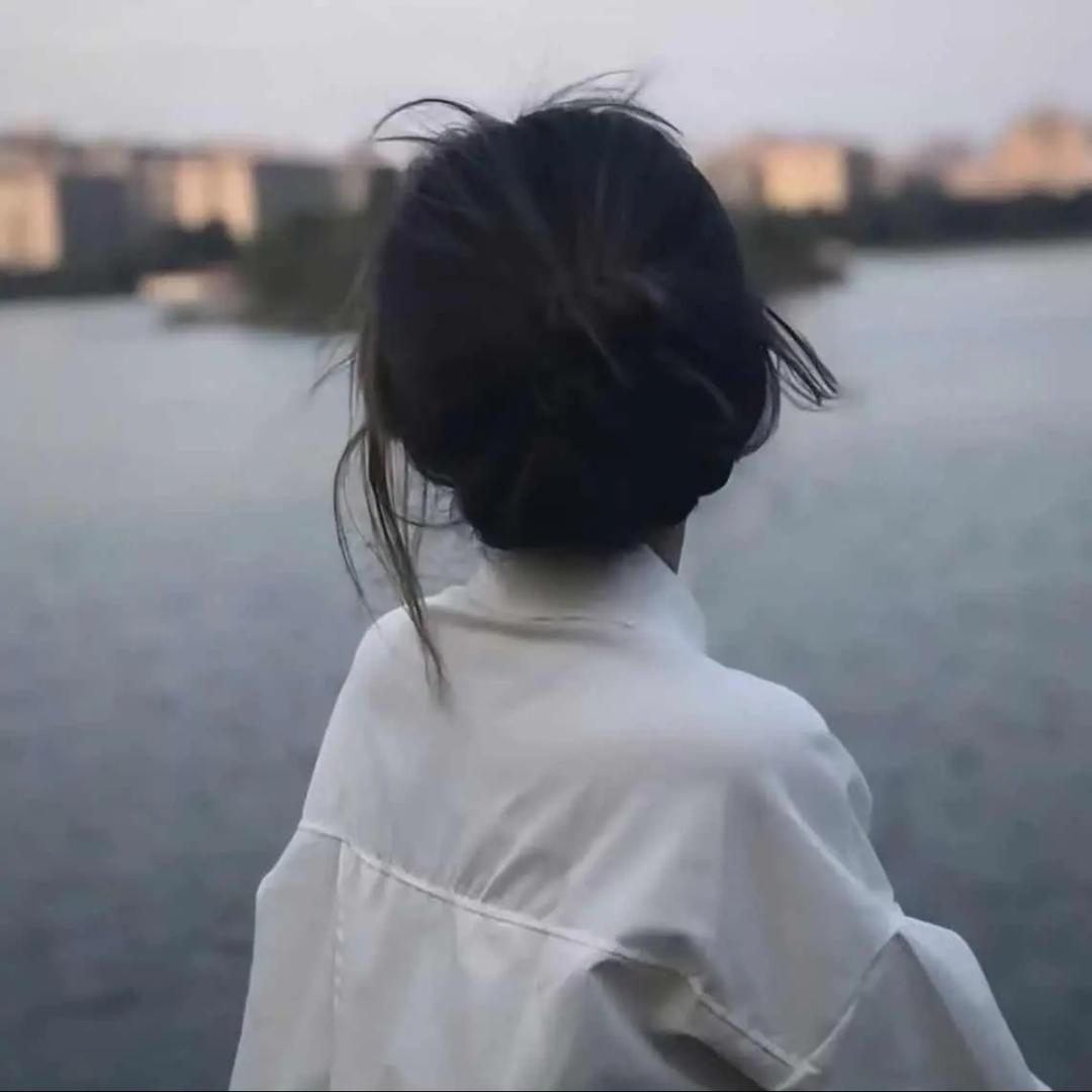 绿野仙踪🌴