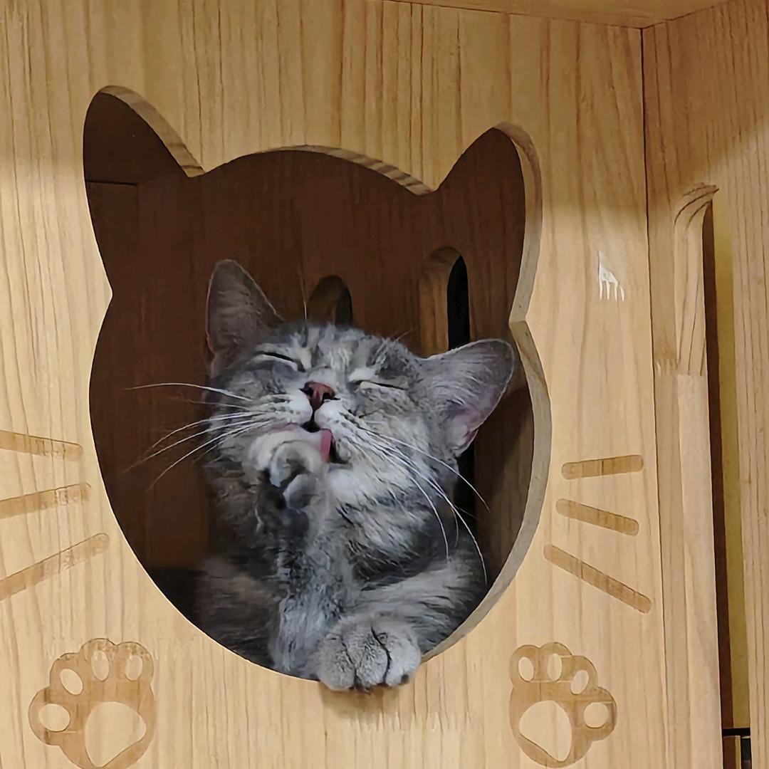 星星在发呆.🍡