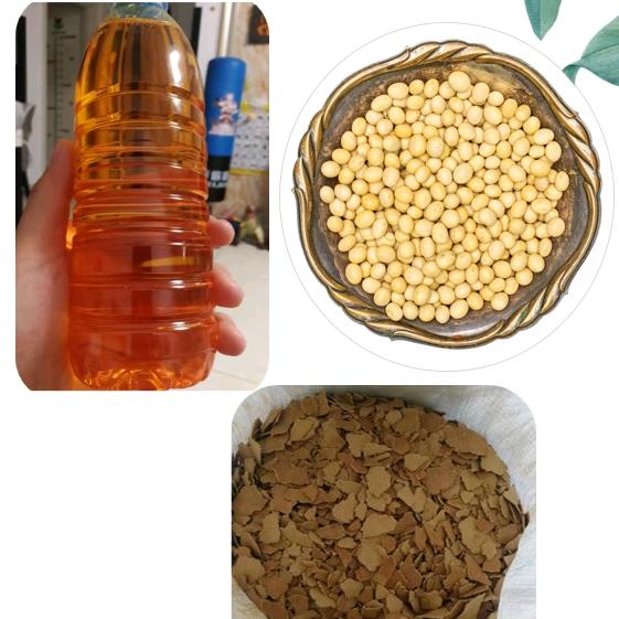 大海（笨榨豆油）