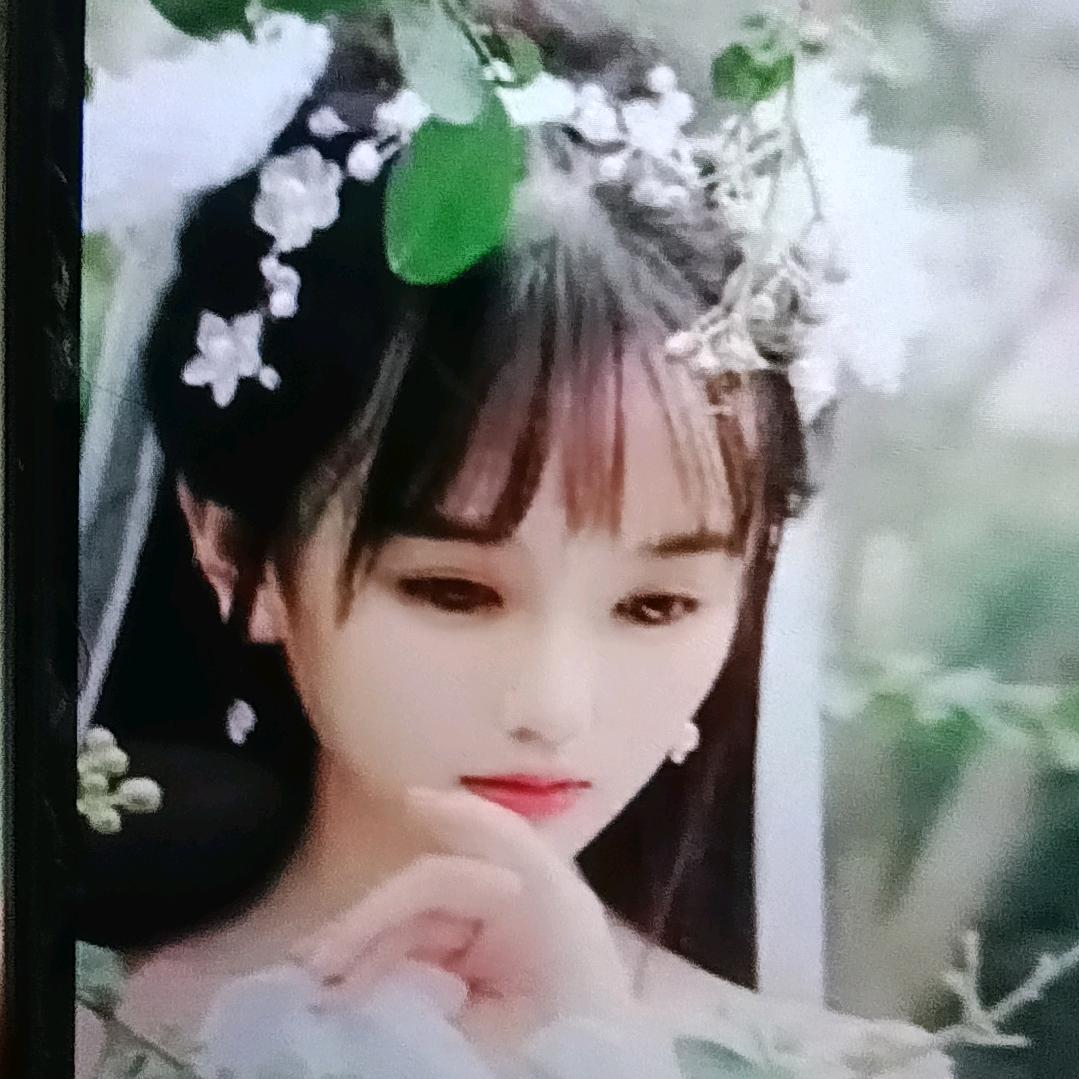 清雅单身