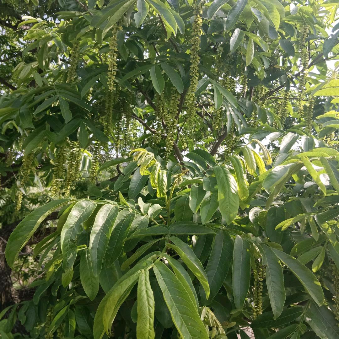 曾经拥有