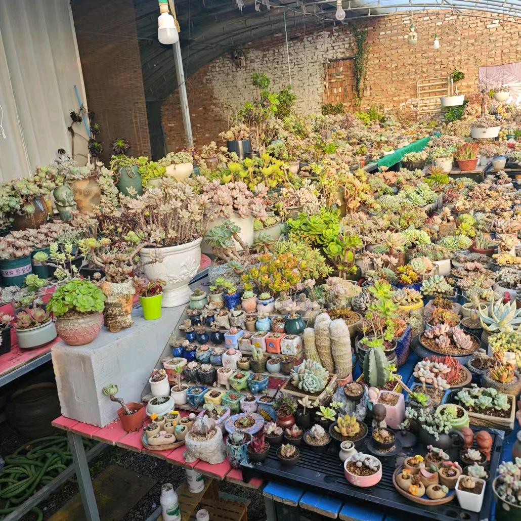 植物基地内部用品店