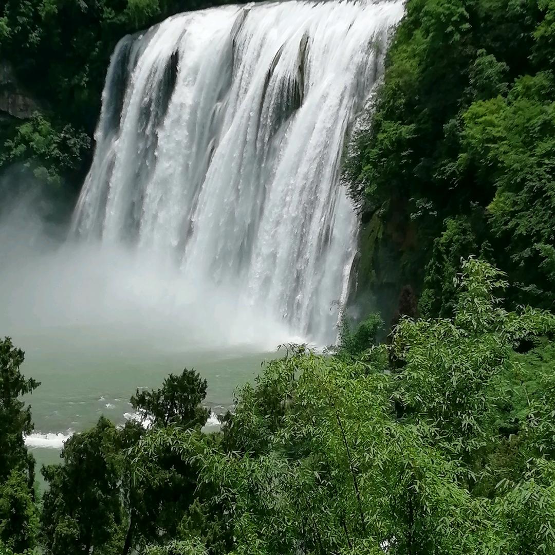 诗思丝