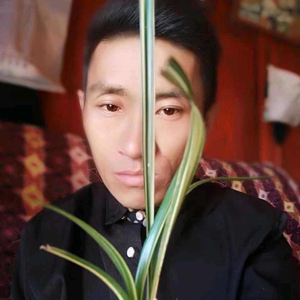杨柳，李正国