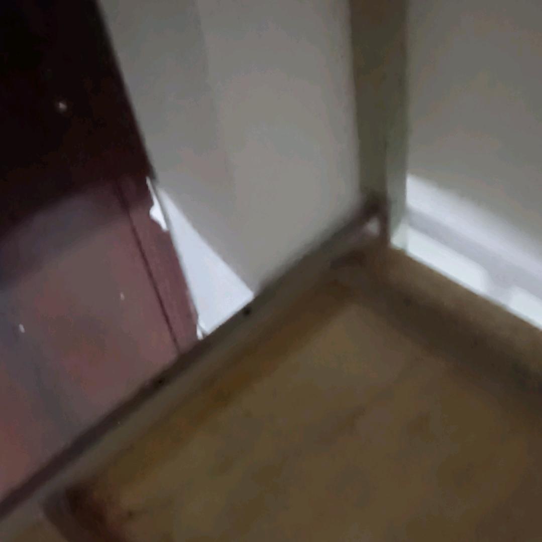 天好