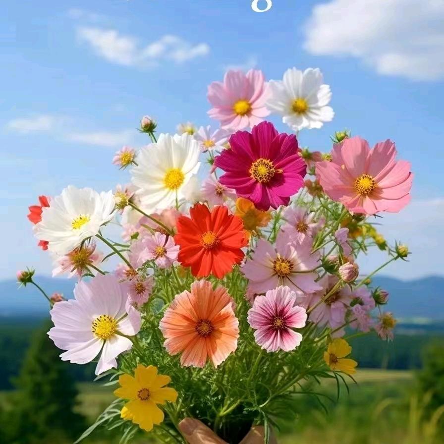 花开花落