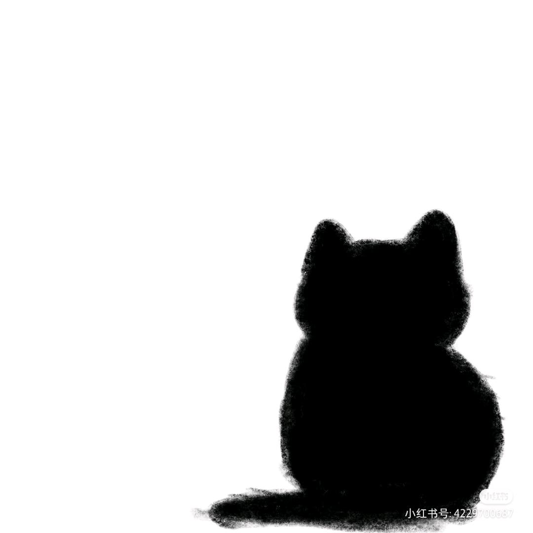 小宝十一