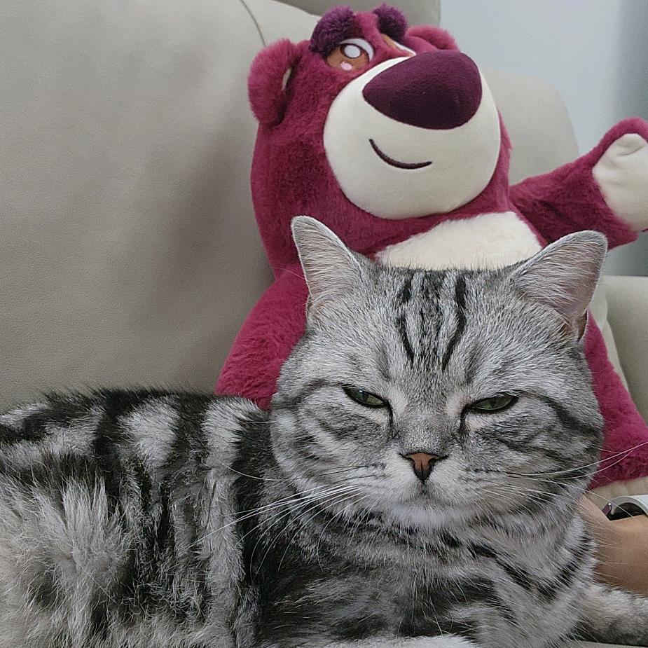 豆包遇上豆瓣酱