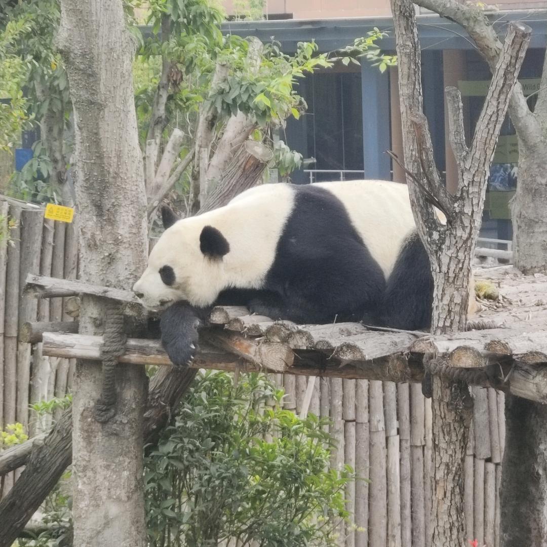乐海琴航