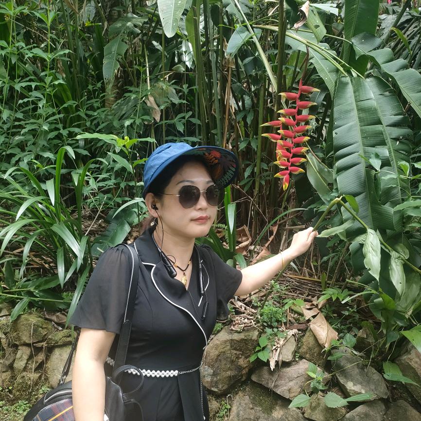 🌸兰🌸馨（拒私聊）