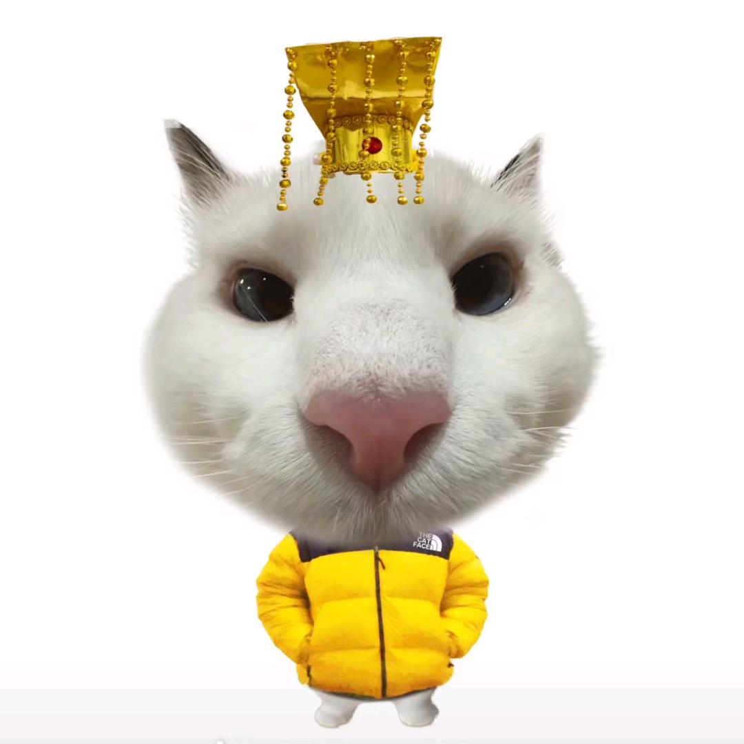 确诊为蛋挞
