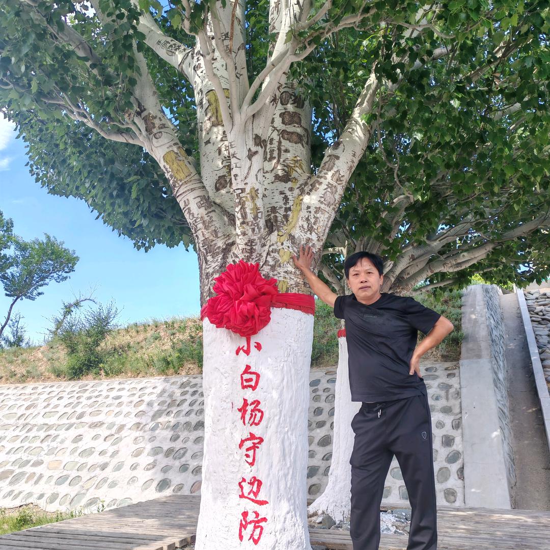 湘潭市莫伟哥新疆驼奶粉