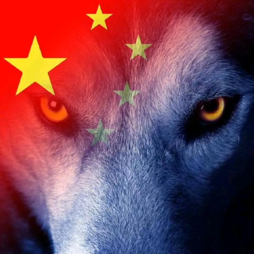 世伟（董厨现炒 董记小碗菜）