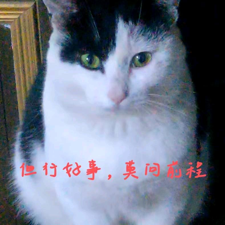 海陵区初茶春语奶茶店