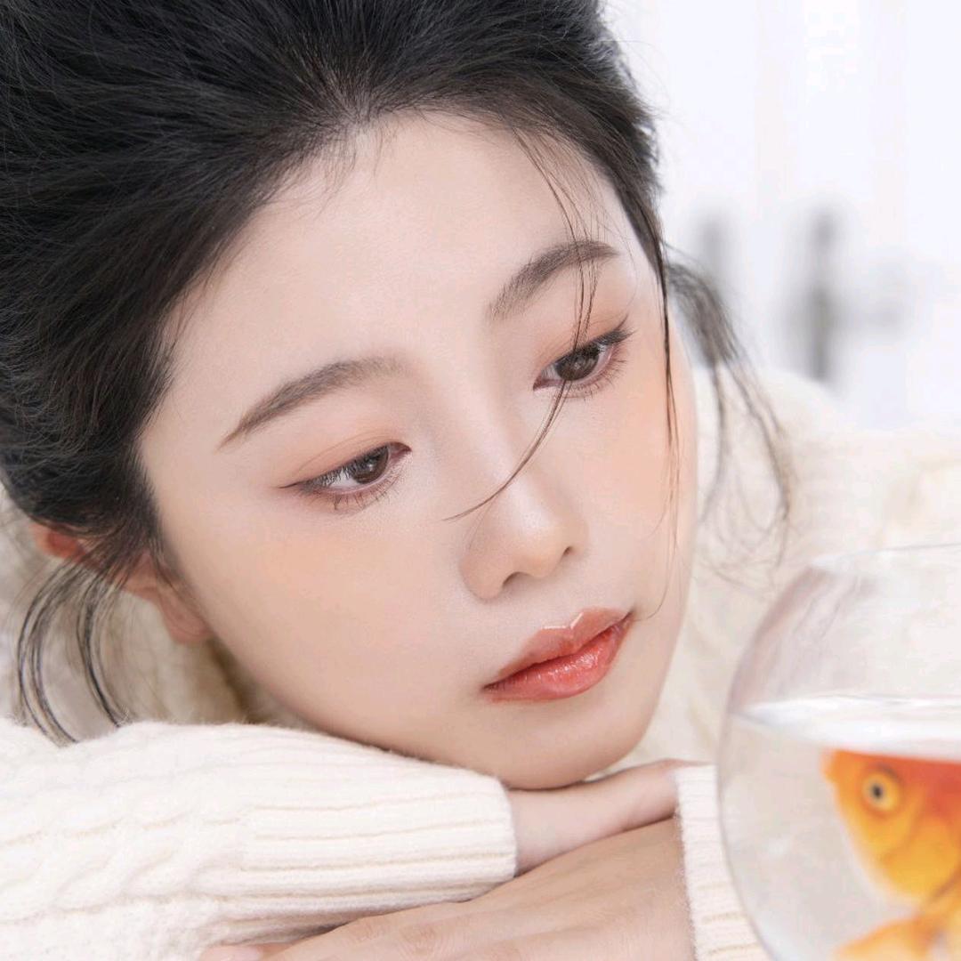 宋昭昭