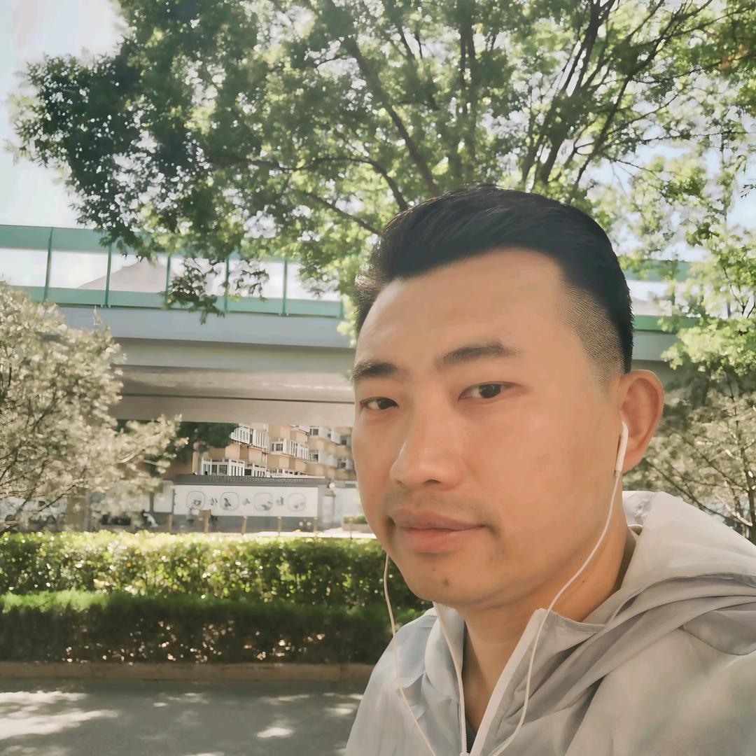 梧桐树引来金凤凰