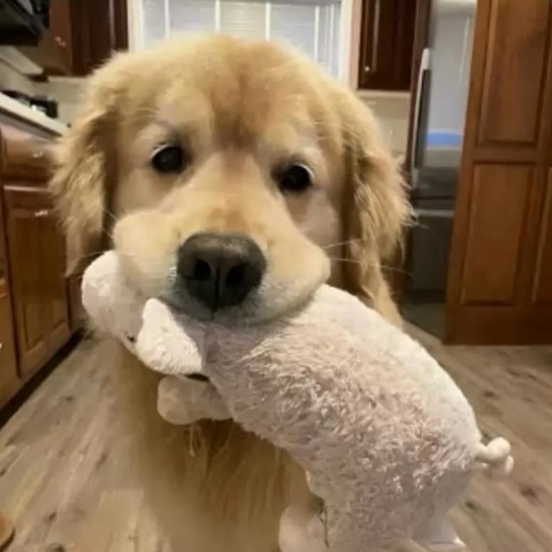 涌金店快鱼🐟璇璇