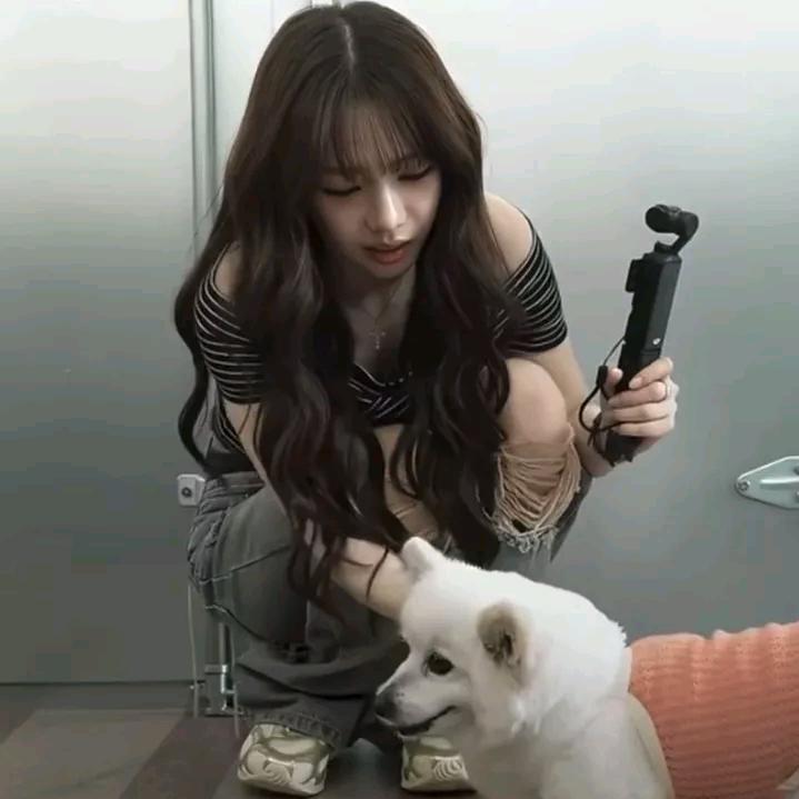 季琳晗