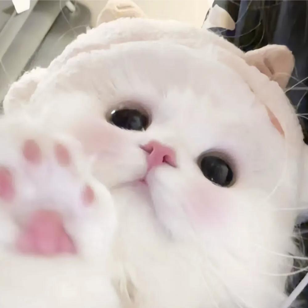 懒.💤