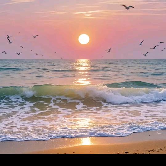 二虎喜欢玩游戏