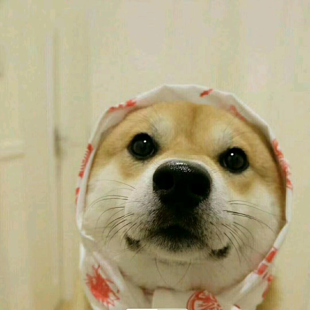 好运连连小瓶子🏠