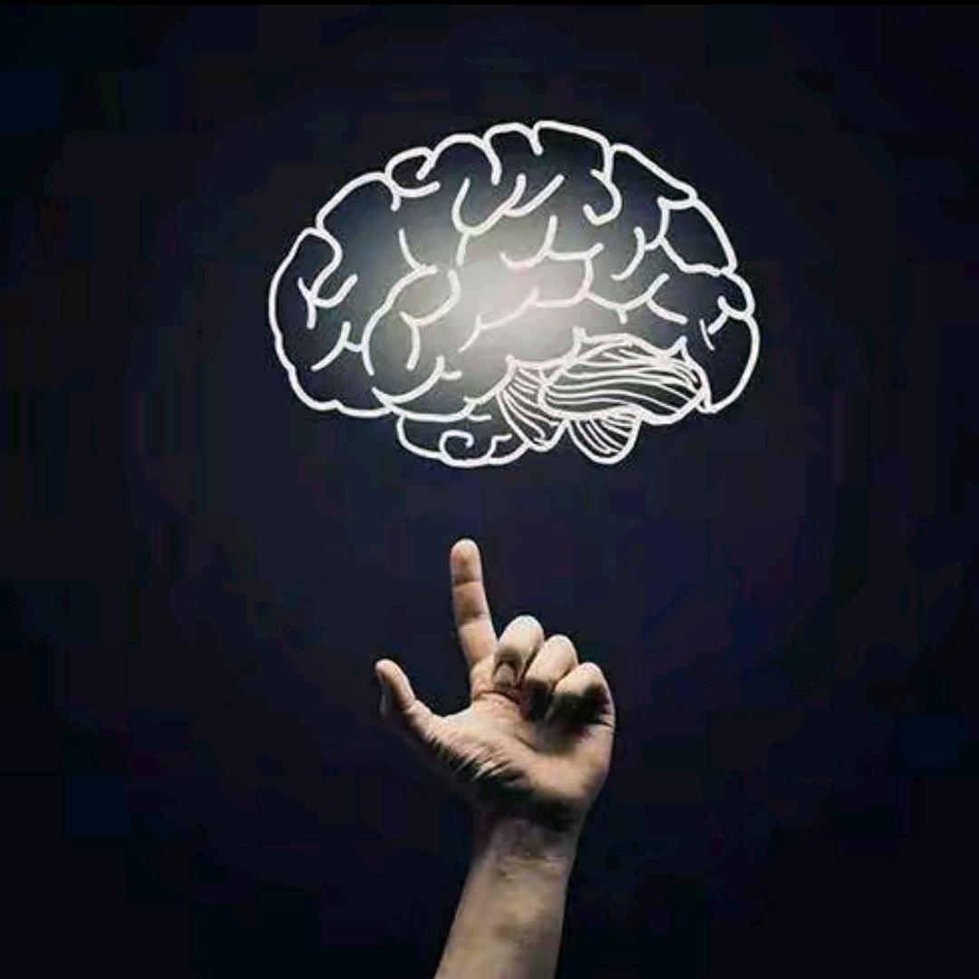 赛课等原创定制