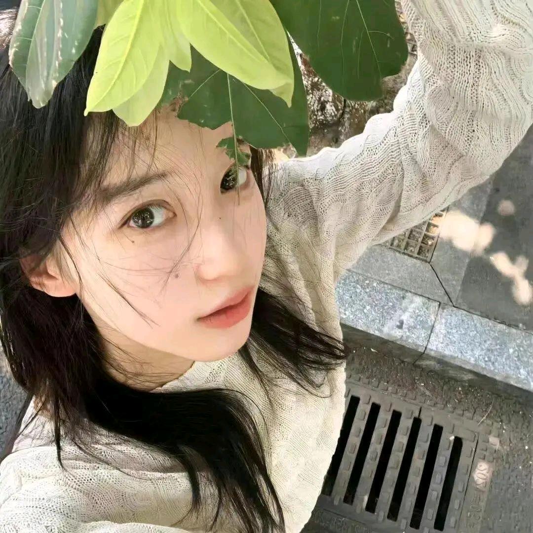 小杨羔