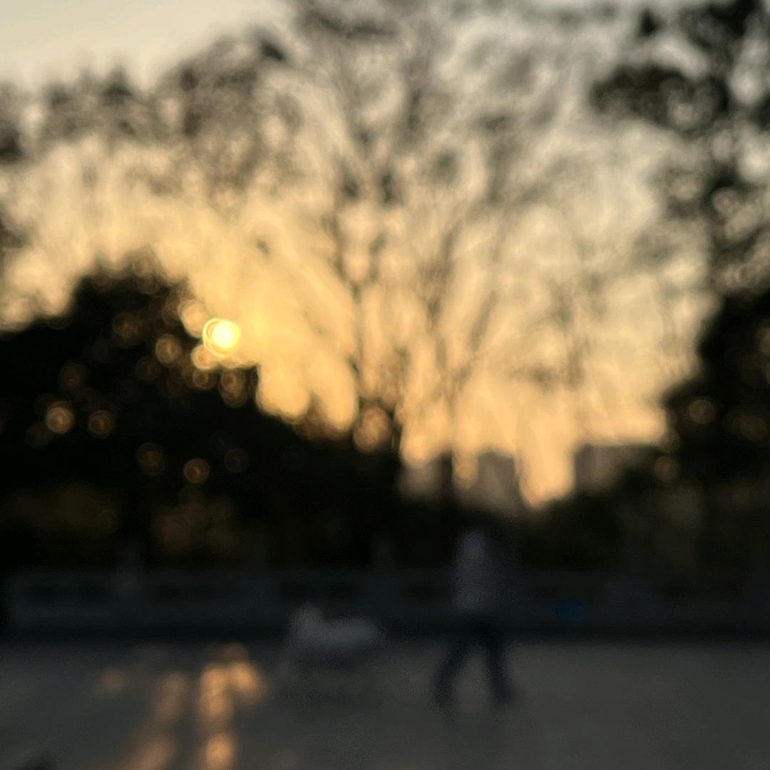 🌈请叫我议员