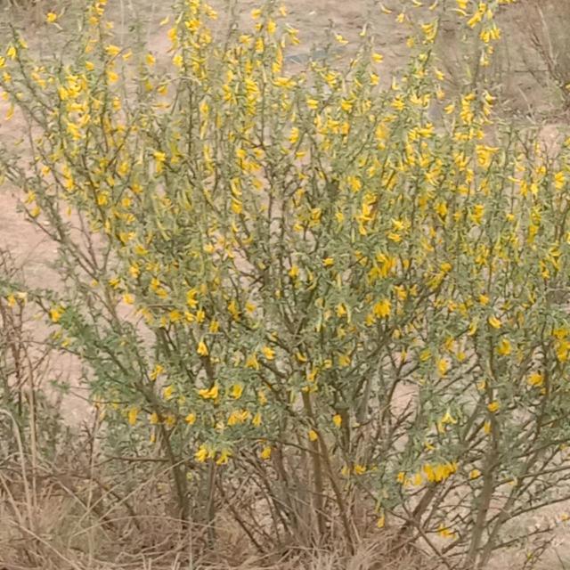 邢永宽（三农角落）