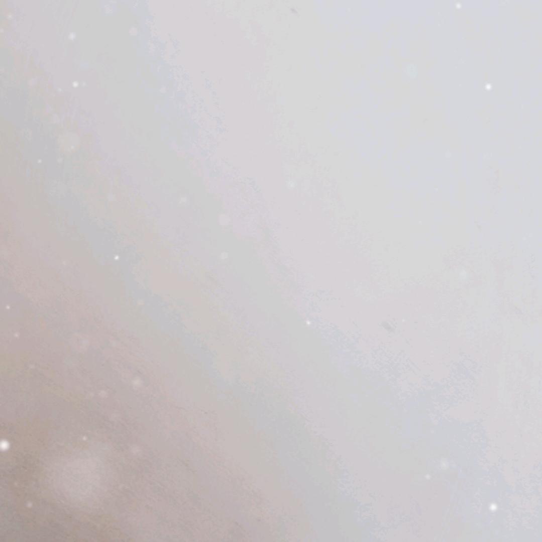 💖里有你