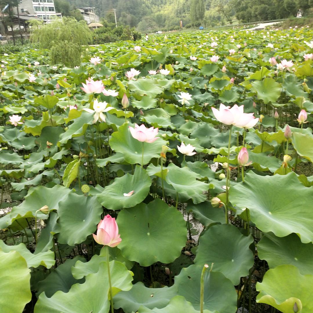 小雨点(•ิ_•ิ)?