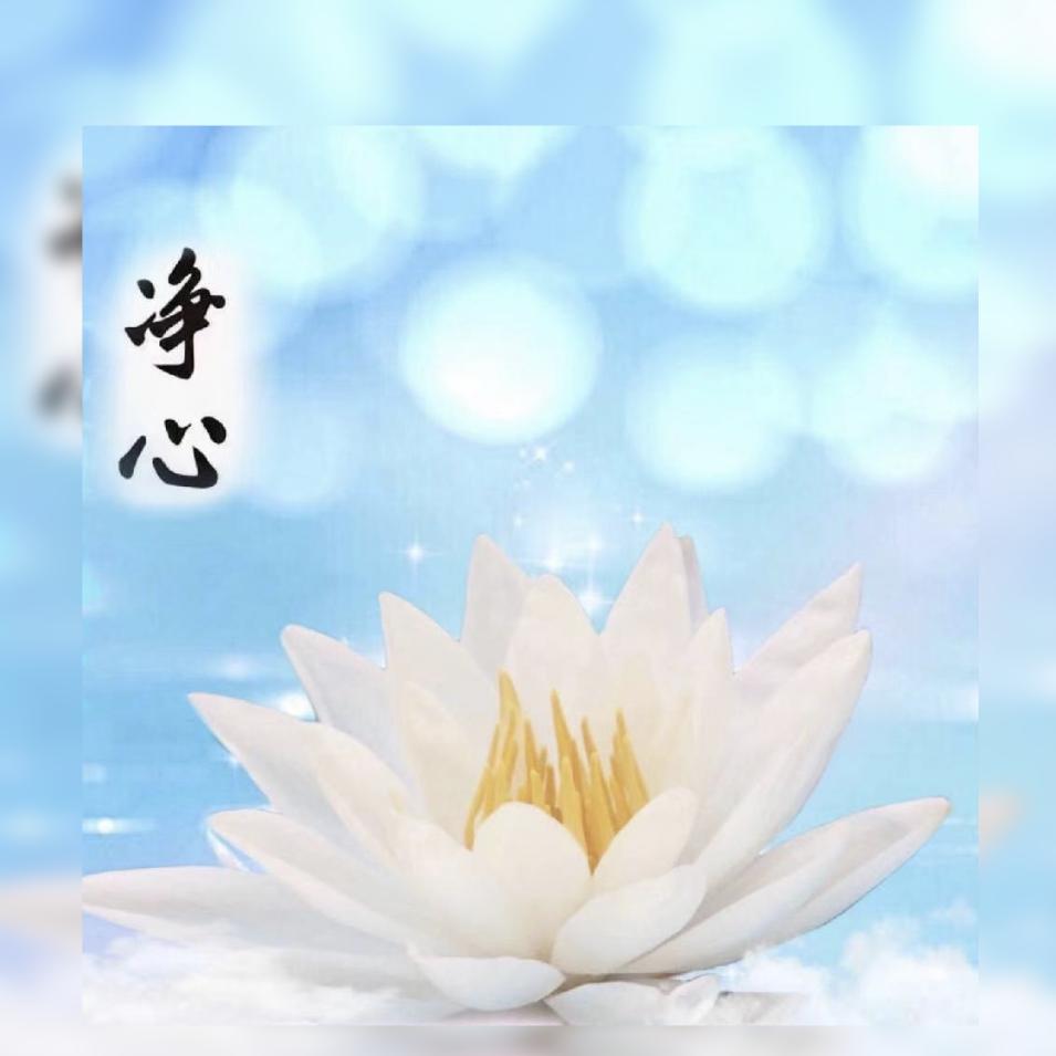 ღ᭄静心꧔ꦿ᭄℘⸙