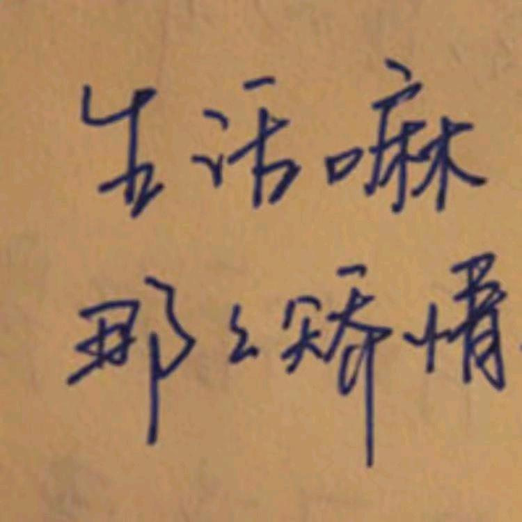 河南公立高校赵主任-军景教育
