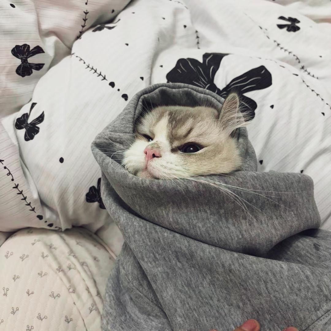 叫叫叫叫叫