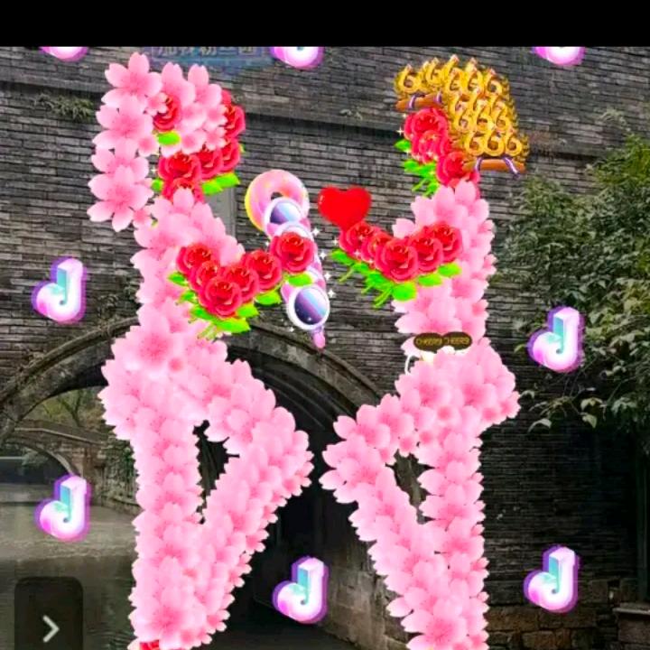 👩‍👩‍👧真爱一生👨