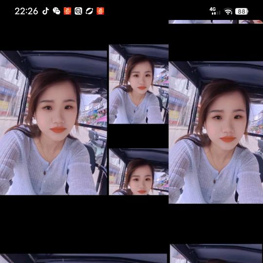 @岁月茹歌🍀☘️