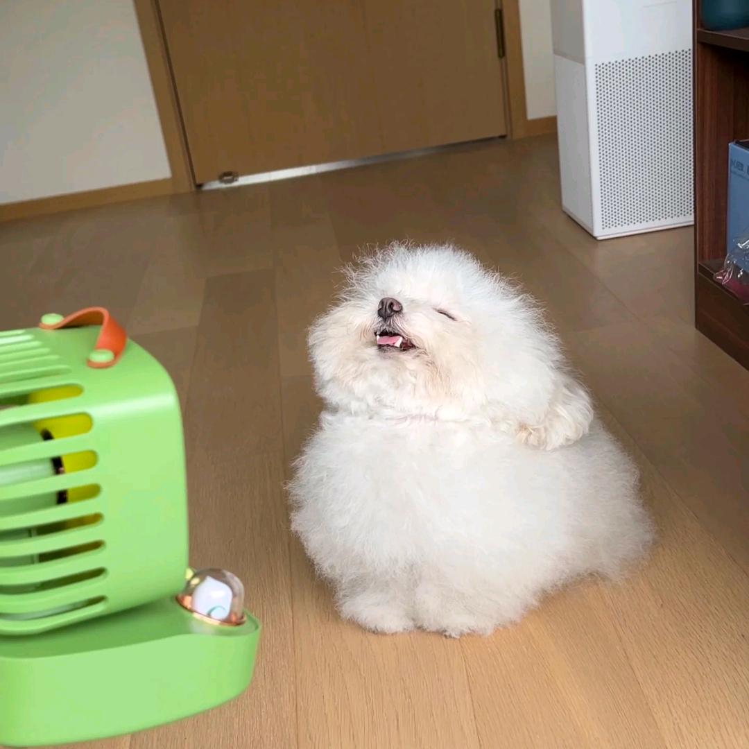 小导弹