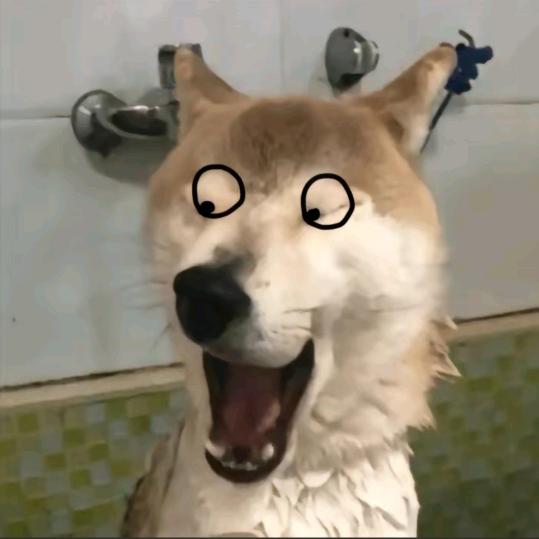 聪明小ra