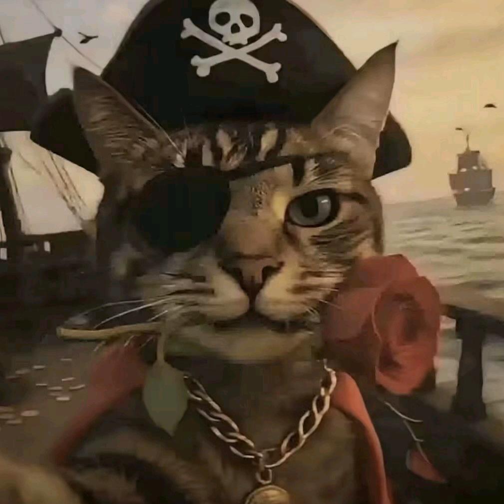 独眼喵·破浪者