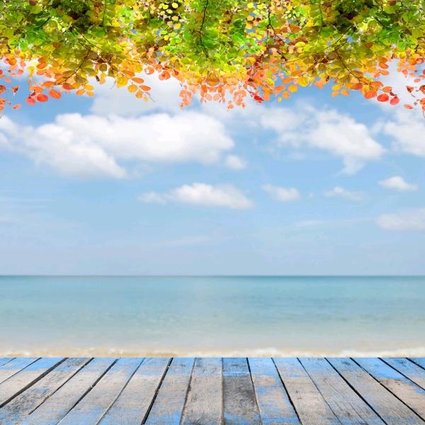 夏若繁华