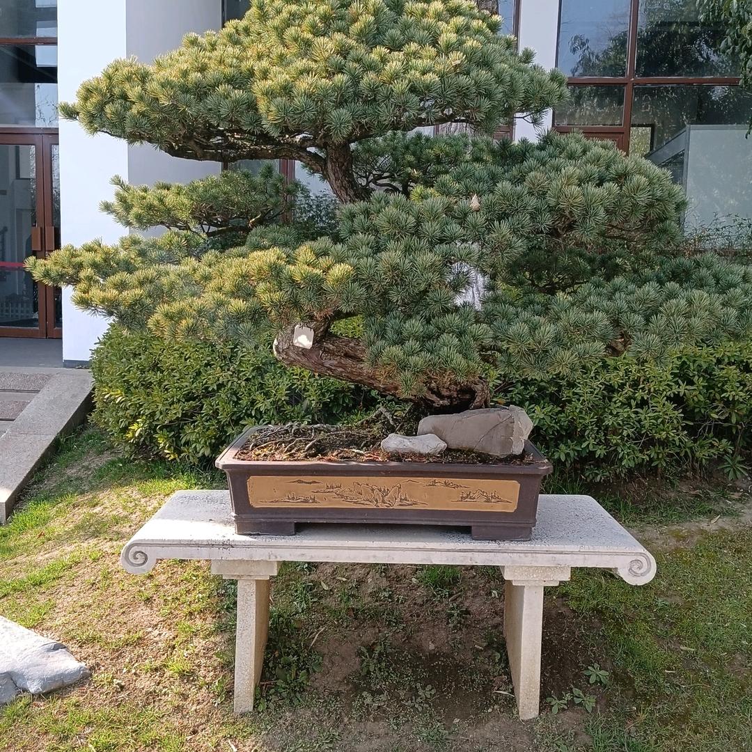 陶守文
